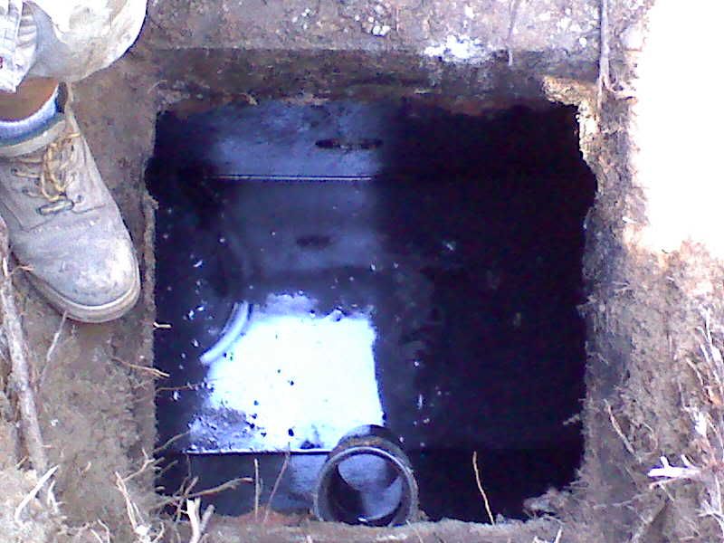 What happens when a Septic System Fails in Santa Cruz County